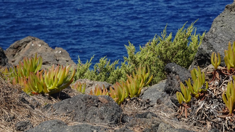 cambiamento e vento, la poetica dell'isola, ispirazioni dall'isola di Pantelleria, Pantelleria tra mito e poesia